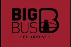 BigBus-egyedi-logos-szonyeg