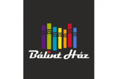 balinthaz-egyedi-logos-szonyeg