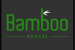 bamboo-dental
