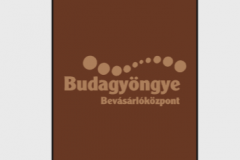 budagyongye-feliratos-logos-szonyeg